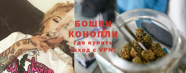 гидра Белоозёрский