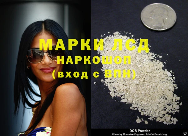 стафф Белокуриха