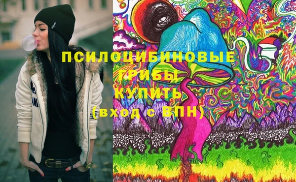 стафф Белокуриха
